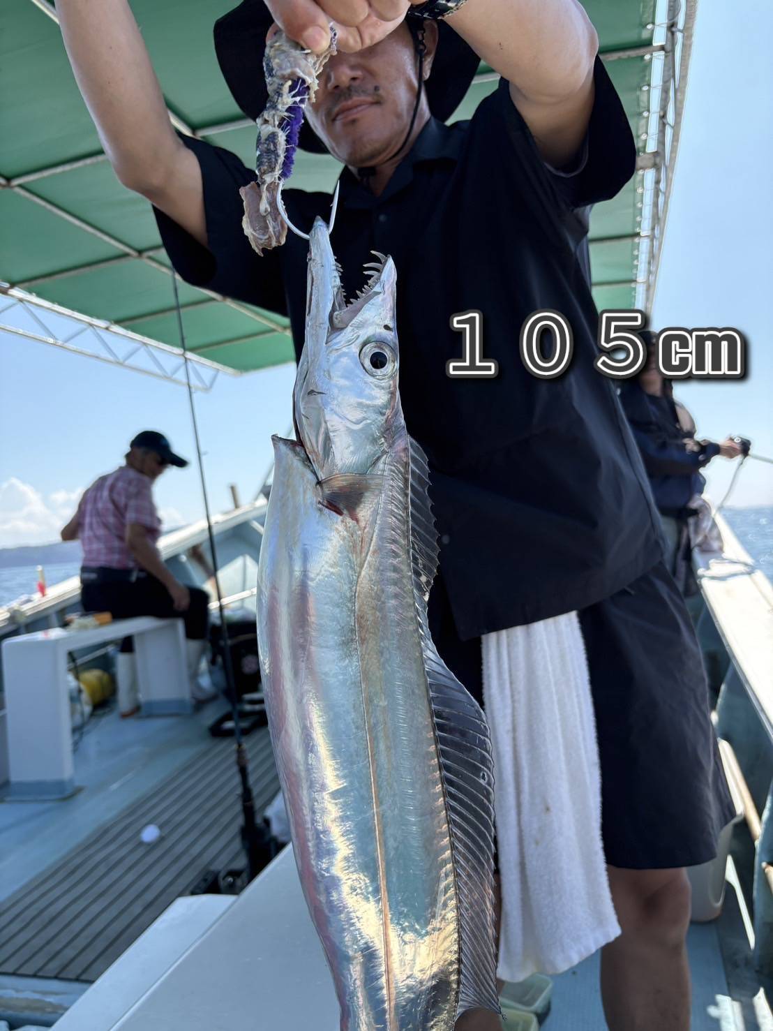 517-2.jpg